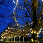 70 Light Traditional T5 Warm White LED Mini Lights Green Wire