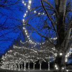 Commercial Grade Wide Angle 100 LED Pure White 34' Long on Green Wire 