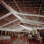 Commercial Grade Wide Angle 50 LED Pure White 25' Long on White Wire