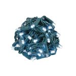 Commercial Grade Wide Angle 70 LED Pure White 24' Long on Green Wire