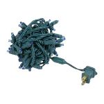 *NEW* TrueTwinkle® LED Christmas Lights 50 LED Blue 25' Long Green Wire