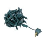*NEW* TrueTwinkle LED Christmas Lights 50 LED Pure White 25' Long Green Wire