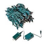 100 LED RGB Wide Angle Mini Light Set Green Wire w/Multi-Function Remote