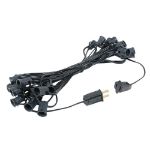 25 LED Filament G40 Globe String Light Set with Warm White Bulbs on Black Wire