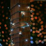 Commercial Grade Wide Angle 100 LED Pure White 50' Long on Green Wire