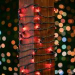 Commercial Grade Wide Angle 100 LED Red 50' Long on Green Wire