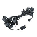 25 LED Filament G50 Globe String Light Set with Warm White Bulbs on Black Wire