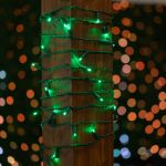Commercial Grade Wide Angle 50 LED Green 17' Long on Green Wire