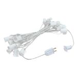 25 LED Filament G50 Globe String Light Set with Warm White Bulbs on White Wire