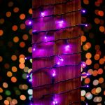 Commercial Grade Wide Angle 50 LED Purple 25' Long on Black Wire