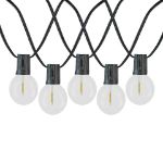 25 LED Filament G40 Globe String Light Set with Warm White Bulbs on Black Wire