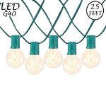 25 LED Filament G40 Globe String Light Set with Warm White Bulbs on Green Wire