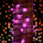 Commercial Grade Wide Angle 50 LED Pink 25' Long on Black Wire