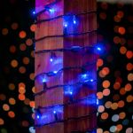 Commercial Grade Wide Angle 50 LED Blue 25' Long on Black Wire