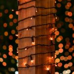 Commercial Grade Wide Angle 50 LED Amber 25' Long on Black Wire