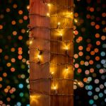 50 LED Warm White LED Christmas Lights 11' Long on Brown Wire