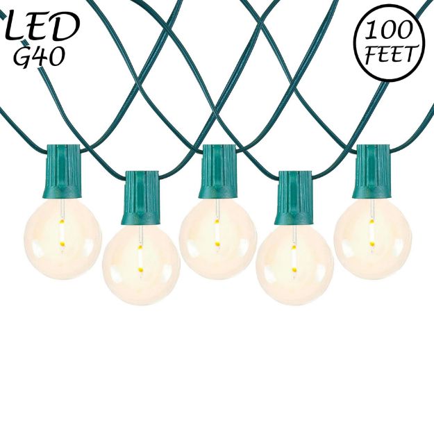 67 LED Filament G40 Globe String Light Set with Warm White Bulbs on Green Wire