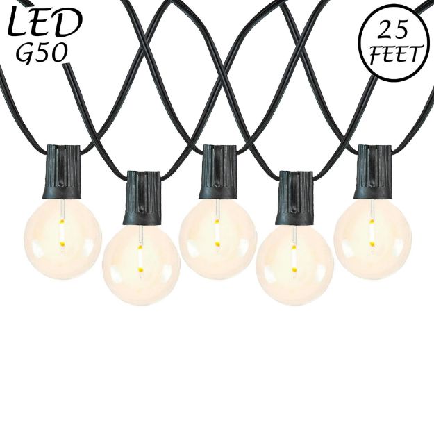 25 LED Filament G50 Globe String Light Set with Warm White Bulbs on Black Wire