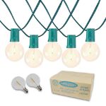 25 LED Filament G50 Globe String Light Set with Warm White Bulbs on Green Wire