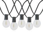 50 LED Filament G50 Globe String Light Set with Warm White Bulbs on Black Wire