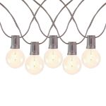 50 LED Filament G50 Globe String Light Set with Warm White Bulbs on Brown Wire