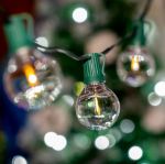 50 LED Filament G50 Globe String Light Set with Warm White Bulbs on Green Wire