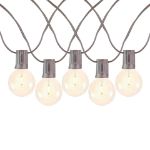 67 LED Filament G50 Globe String Light Set with Warm White Bulbs on Brown Wire