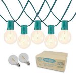 67 LED Filament G50 Globe String Light Set with Warm White Bulbs on Green Wire