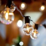 25 LED Filament G40 Globe String Light Set with Warm White Bulbs on Black Wire