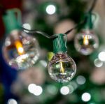 67 LED Filament G50 Globe String Light Set with Warm White Bulbs on Green Wire