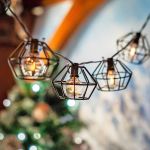 10 Cafe Cage Lamp Shade LED Filament G40 Globe String Light Set with Warm White Bulbs