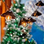 10 Bistro Lampshade LED Filament G40 Globe String Light Set with Warm White Bulbs