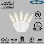 Clear 50 Light 11' Long White Wire Christmas Mini Lights