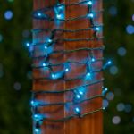 Commercial Grade Wide Angle 50 LED Teal 25' Long on Green Wire