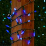Blue 70 LED C6 Strawberry Mini Lights Commercial Grade on Green Wire