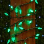 Green 70 LED C6 Strawberry Mini Lights Commercial Grade on Green Wire