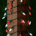 Red and White 70 LED C6 Strawberry Mini Lights Commercial Grade Green Wire