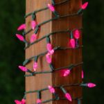 Pink 70 LED C6 Strawberry Mini Lights Commercial Grade on Green Wire