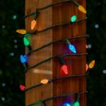 Multi 100 LED C6 Strawberry Mini Lights Commercial Grade Green Wire