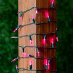 35 Light Traditional T5 Pink LED Mini Lights Green Wire