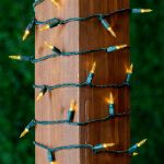 35 Light Traditional T5 Yellow LED Mini Lights Green Wire