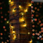 50 LED Warm White LED Christmas Lights 11' Long on Green Wire
