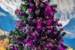 50 LED Pink LED Christmas Lights 11' Long on Green Wire