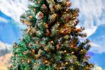 50 LED Orange (amber) LED Christmas Lights 11' Long on Green Wire
