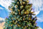 50 LED Yellow (gold) LED Christmas Lights 11' Long on Green Wire