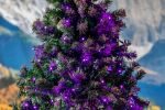 Commercial Grade Wide Angle 50 LED Purple 25' Long on Green Wire