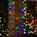 50 LED Multi LED Christmas Lights 11' Long on Green Wire