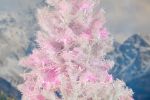 50 LED Pink LED Christmas Lights 11' Long on White Wire