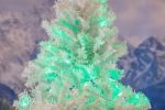 50 LED Green LED Christmas Lights 11' Long on White Wire