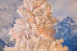Commercial Grade Wide Angle 50 LED Amber 25' Long White Wire